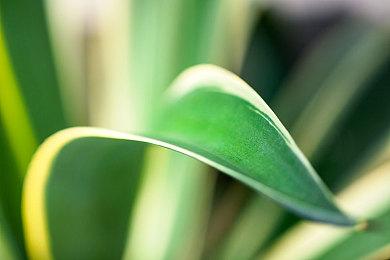 《毁灭全明星》开发商Lucid Games在利物浦开设新办公室